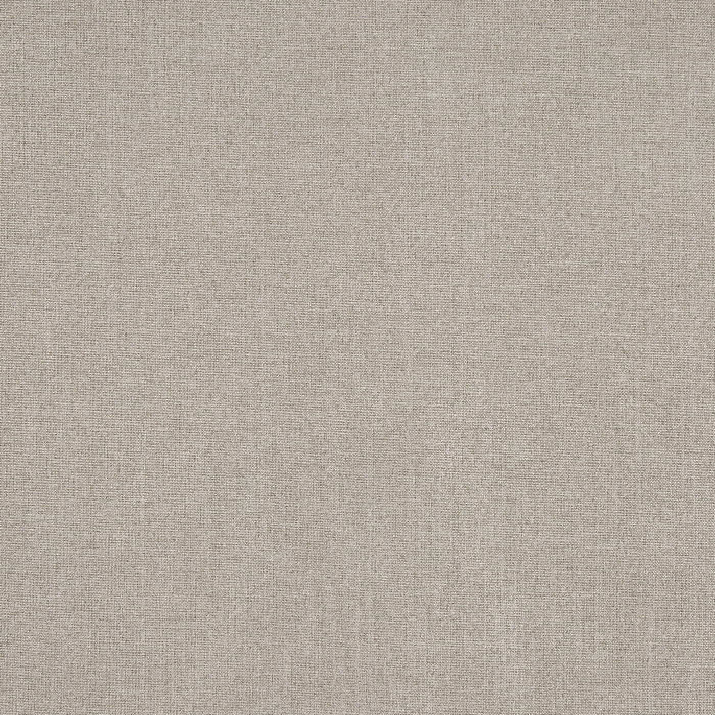Prestigious Textiles Ralph Feather