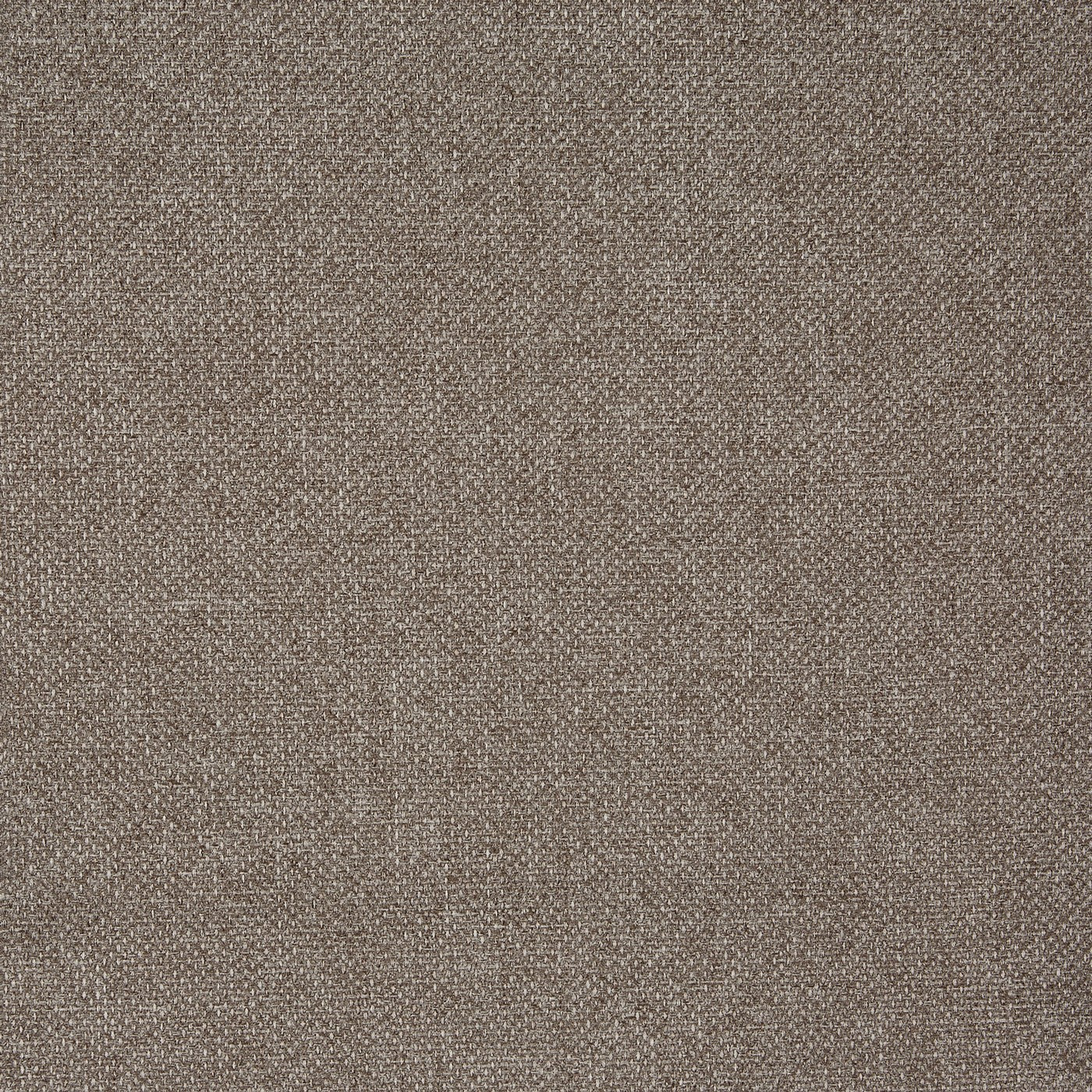 Prestigious Textiles Peyton Flint
