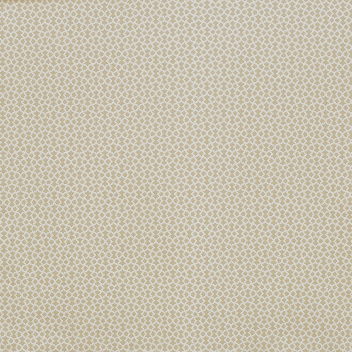 Prestigious Textiles Ivy Pampas