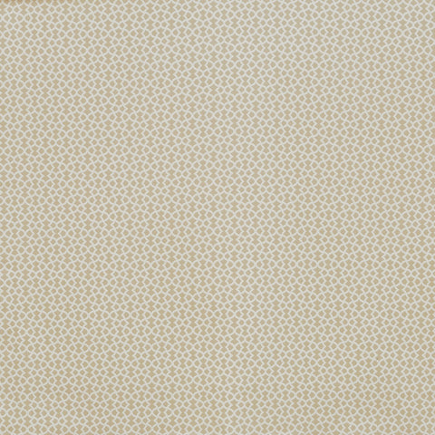 Prestigious Textiles Ivy Pampas