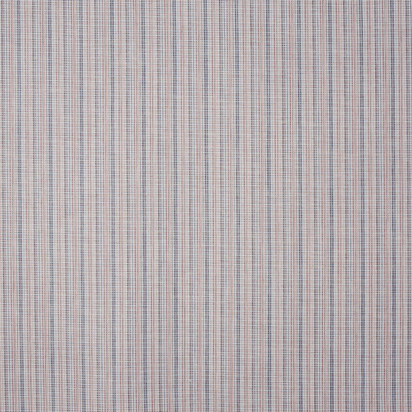 Prestigious Textiles Cici Shell