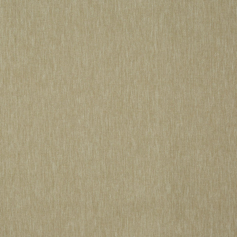 Prestigious Textiles Martha Fennel