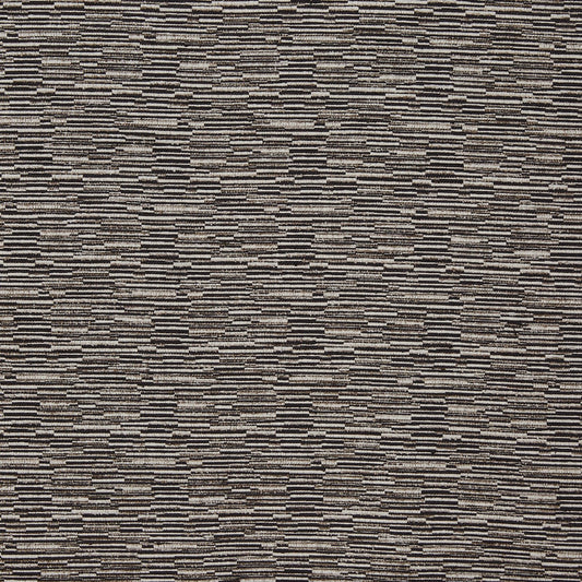 Prestigious Textiles Pablo Raven