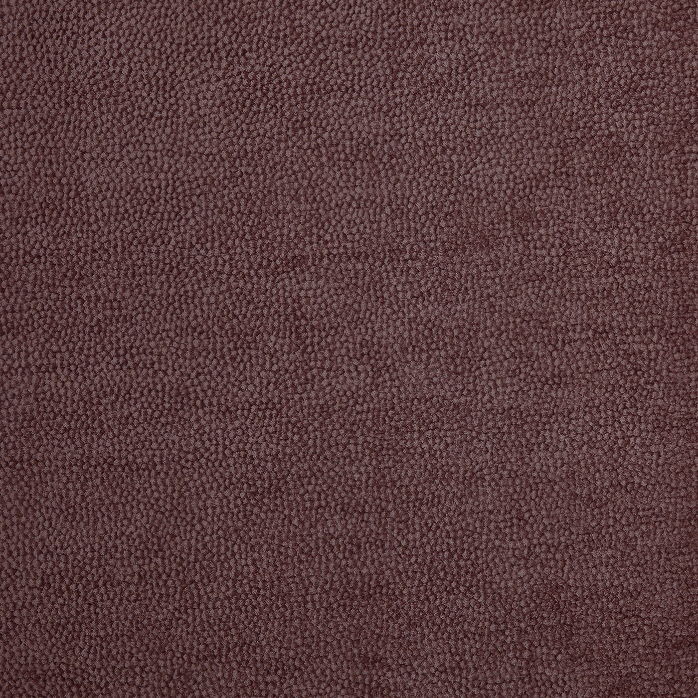 Prestigious Textiles Rodin Heather