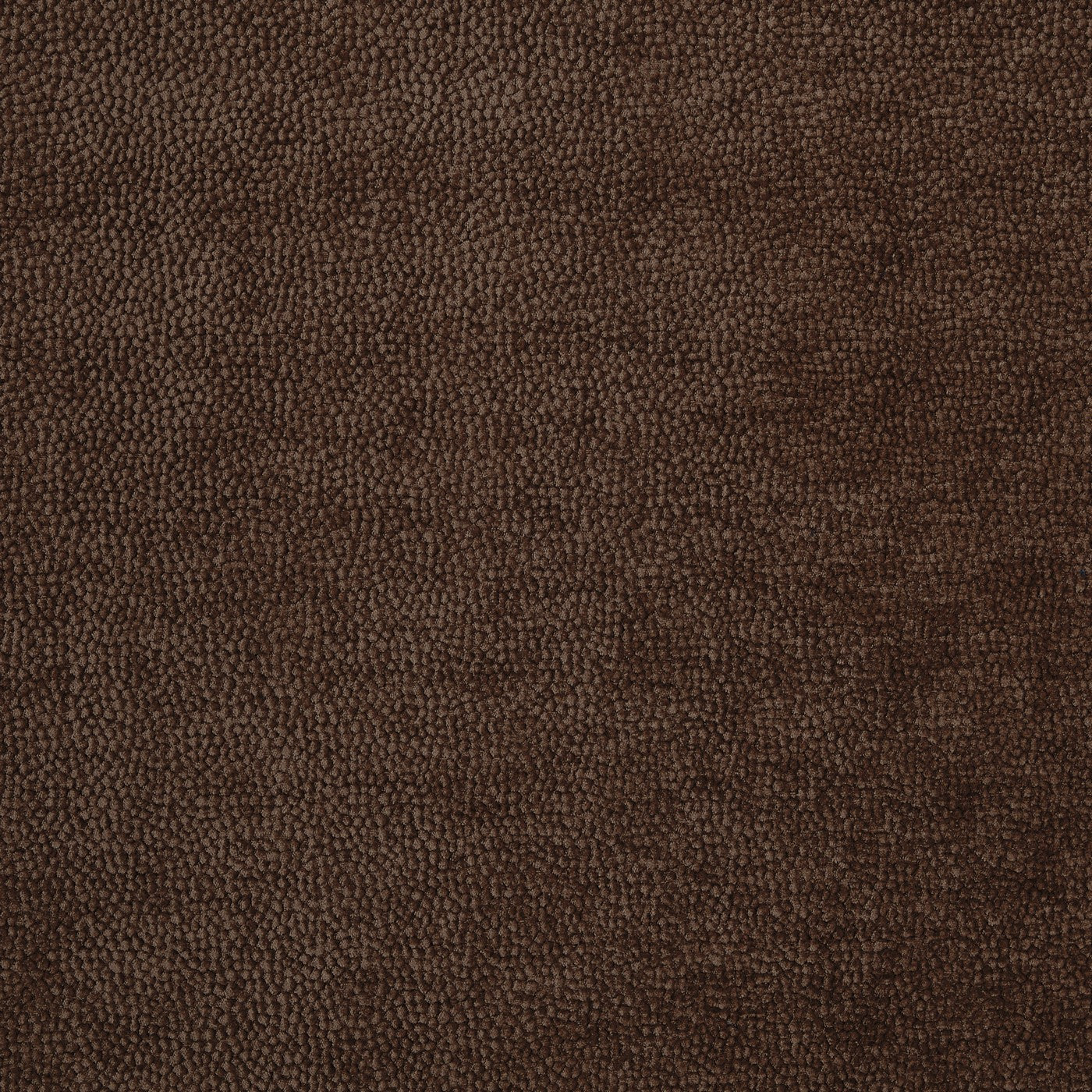 Prestigious Textiles Rodin Toffee