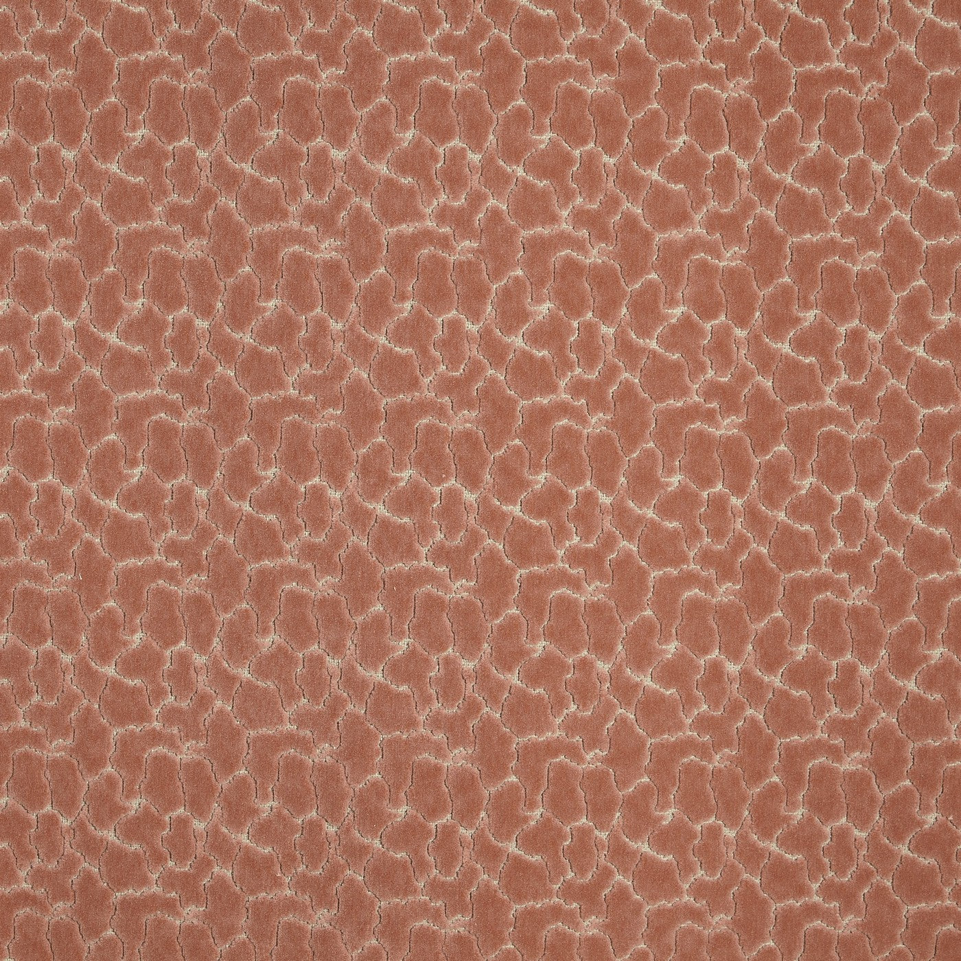 Prestigious Textiles Rockliffe Cinnamon