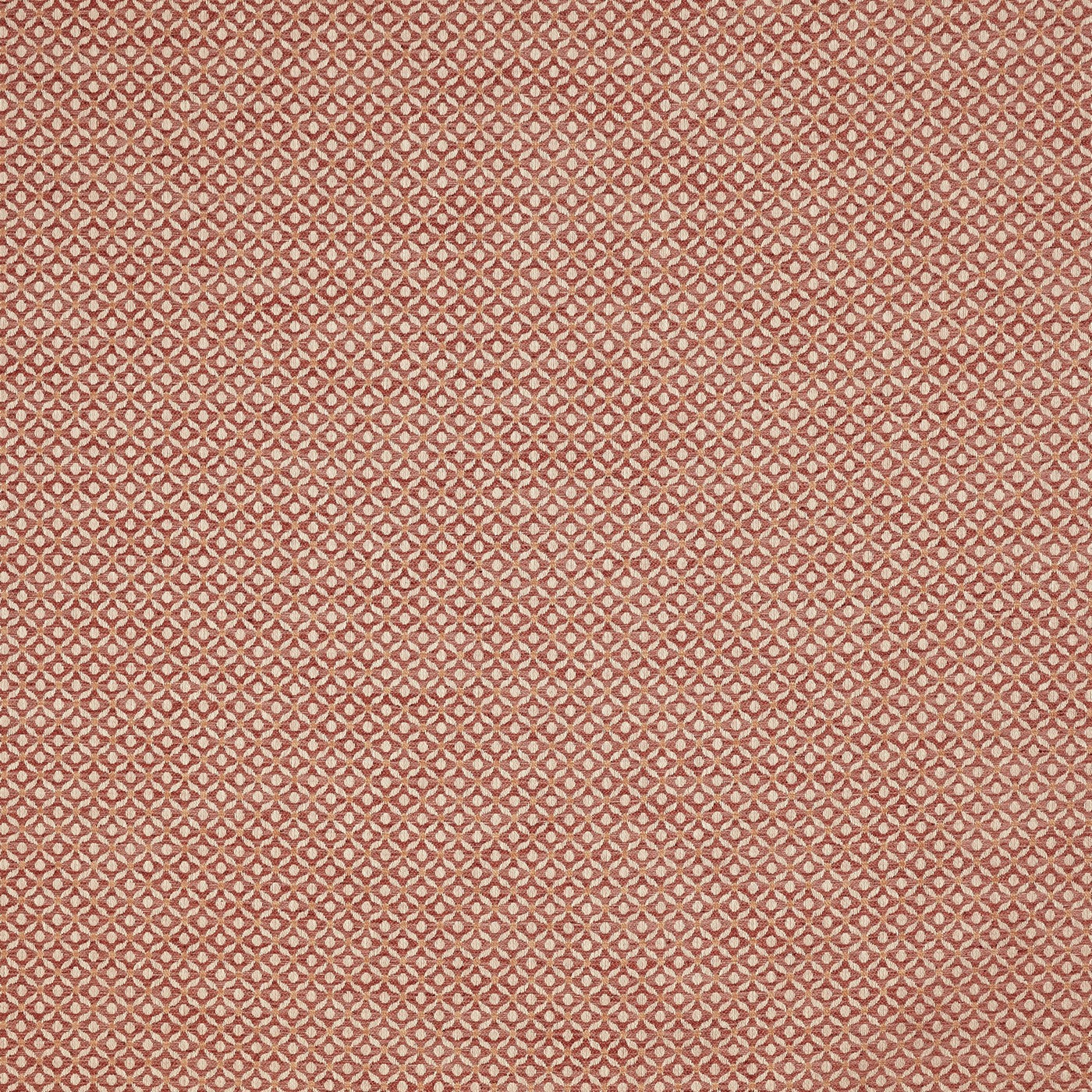 Prestigious Textiles Westwood Rose