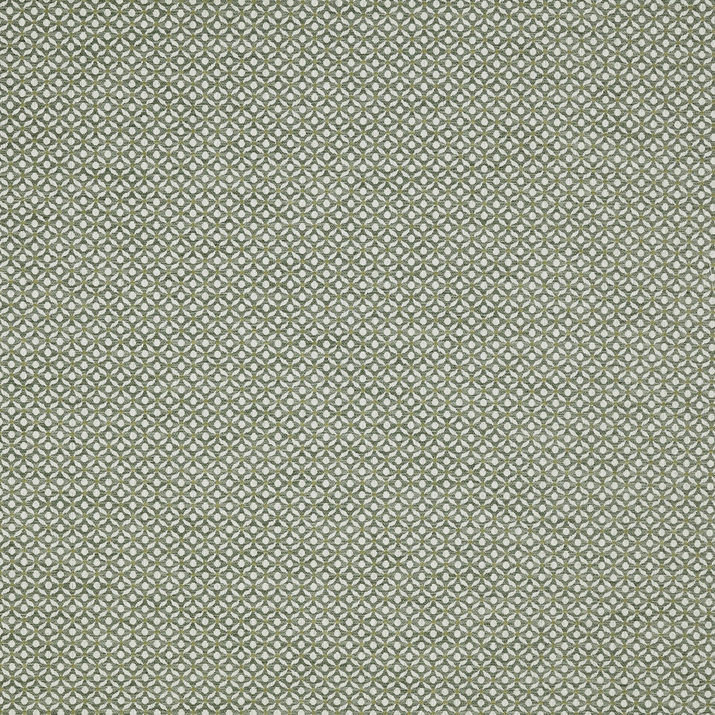 Prestigious Textiles Westwood Willow