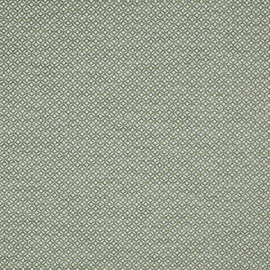 Prestigious Textiles Westwood Willow