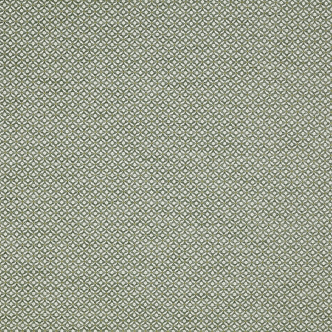 Prestigious Textiles Westwood Willow