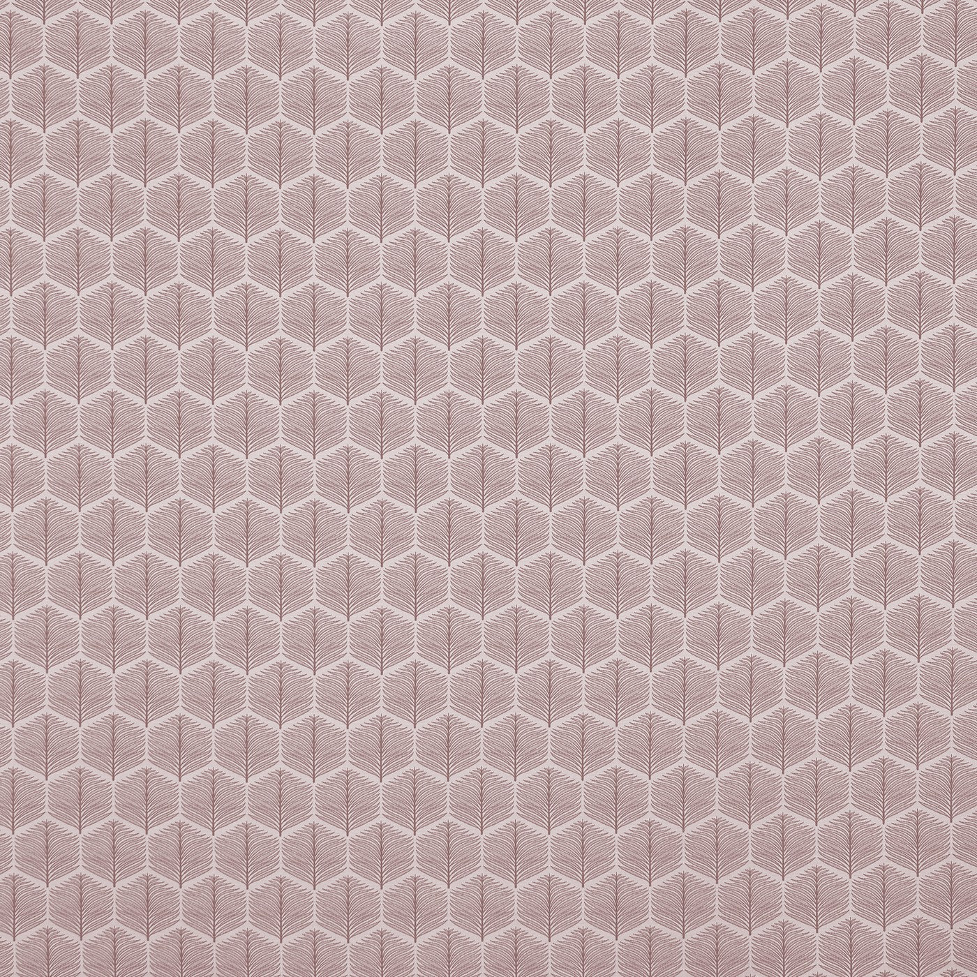 Prestigious Textiles Puccini Petal