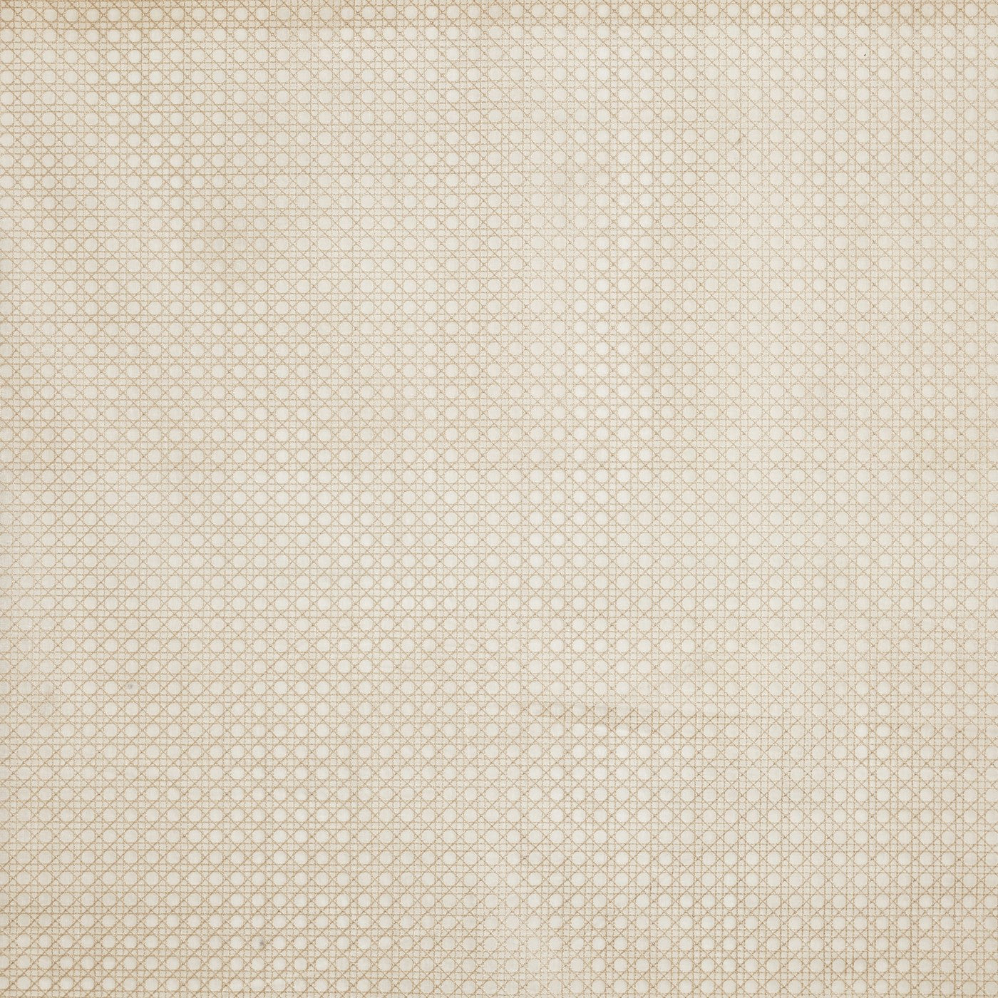 Prestigious Textiles Symmetry Husk