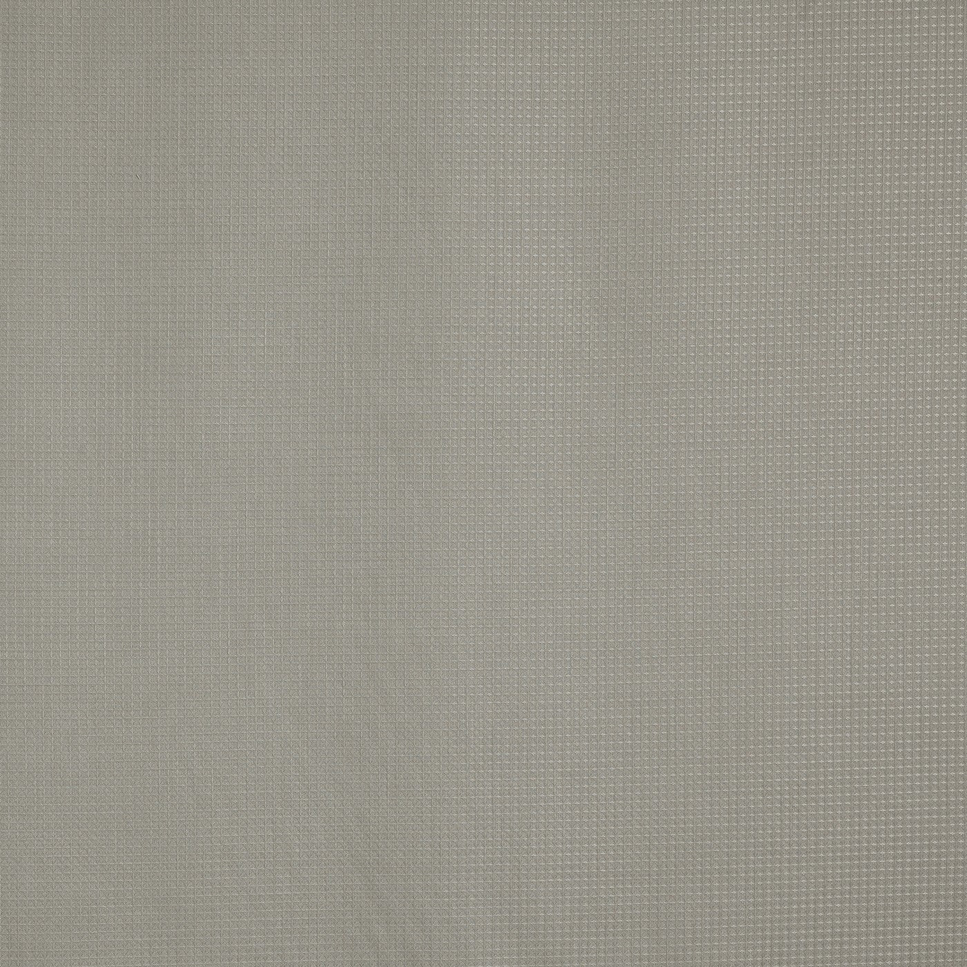 Prestigious Textiles Caro Fossil
