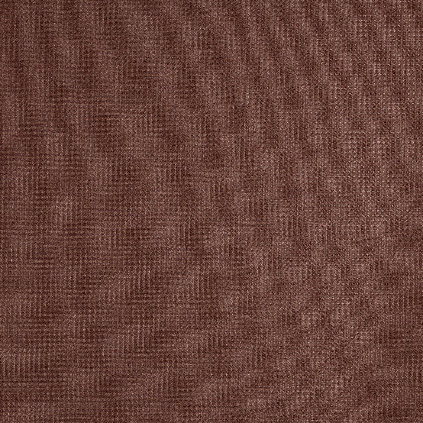 Prestigious Textiles Caro Redwood