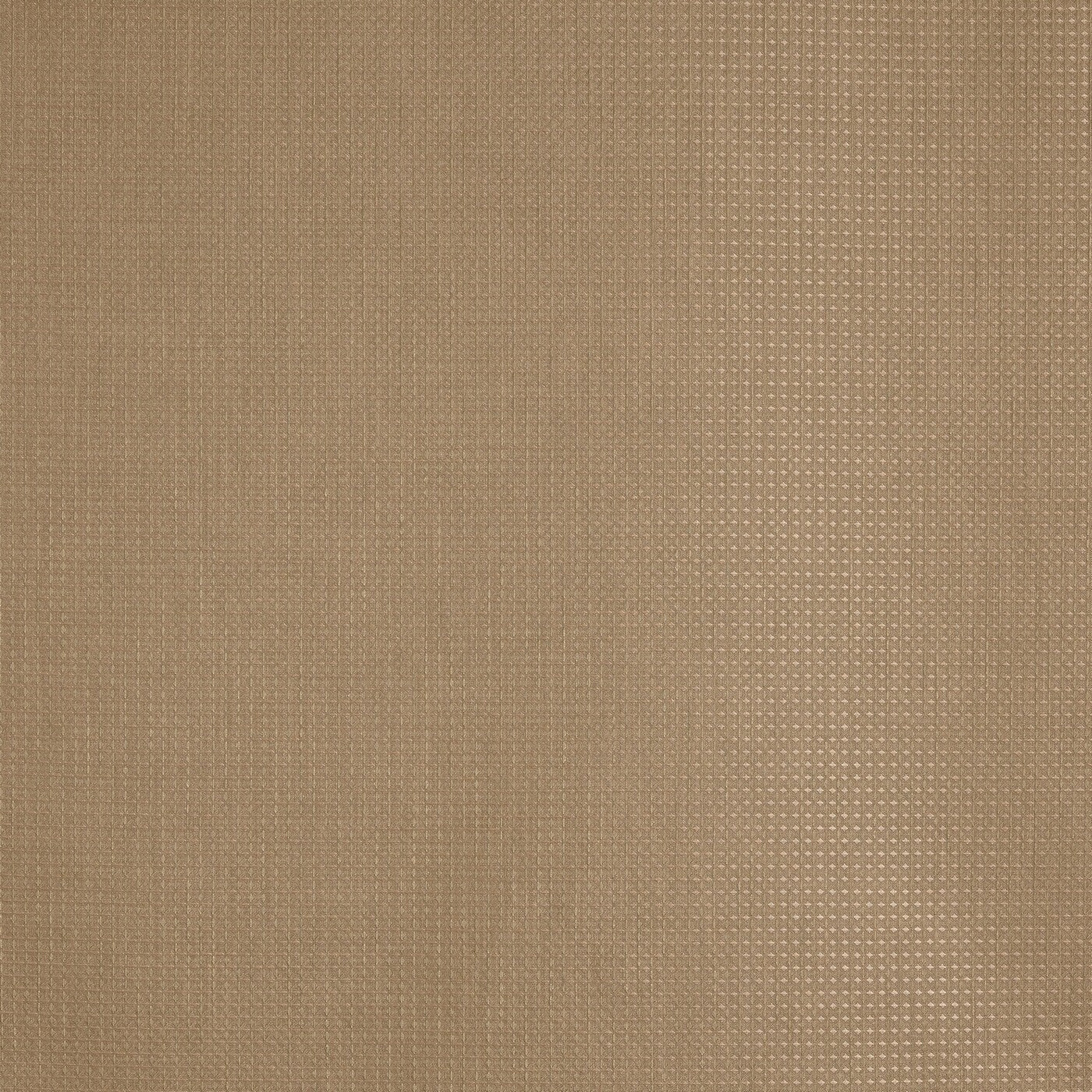 Prestigious Textiles Caro Honey