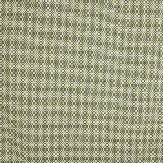 Prestigious Textiles Judd Spruce