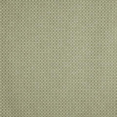 Prestigious Textiles Judd Spruce