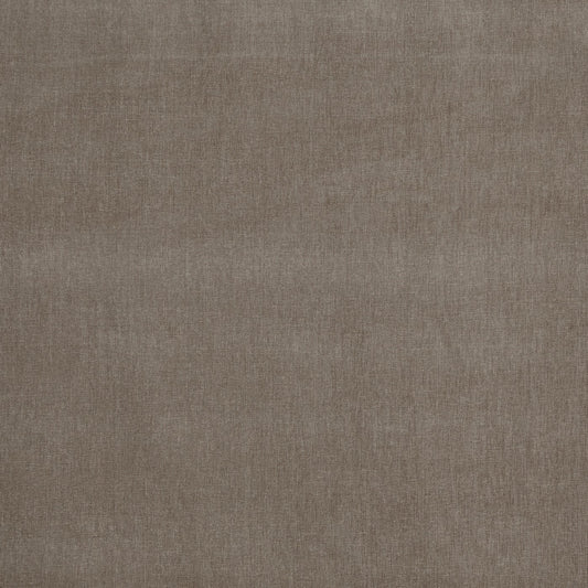 Prestigious Textiles Burton Almond