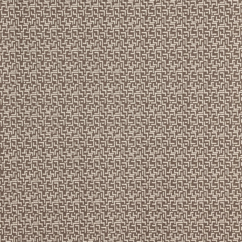 Prestigious Textiles Brixton Acorn