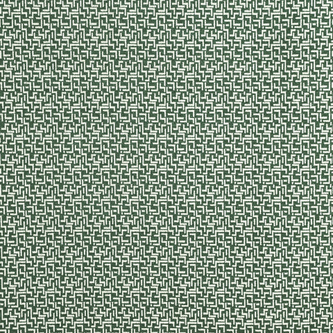 Prestigious Textiles Brixton Ivy