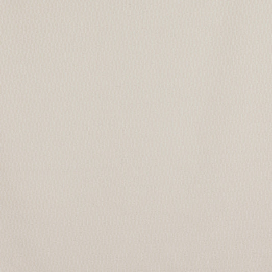 Prestigious Textiles Finsbury Chalk