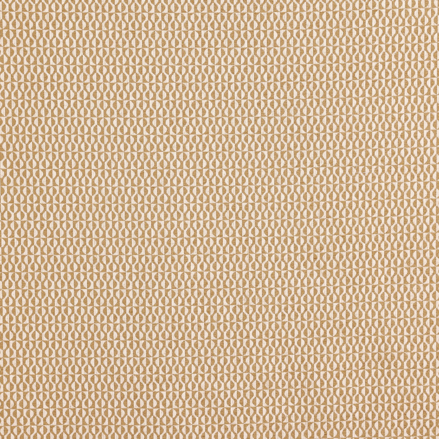 Prestigious Textiles Finsbury Honey