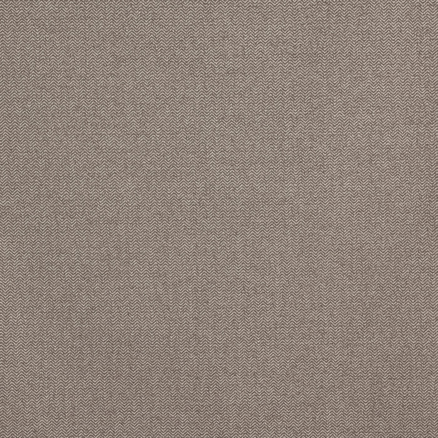 Prestigious Textiles Hackney Acorn