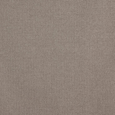 Prestigious Textiles Hackney Acorn