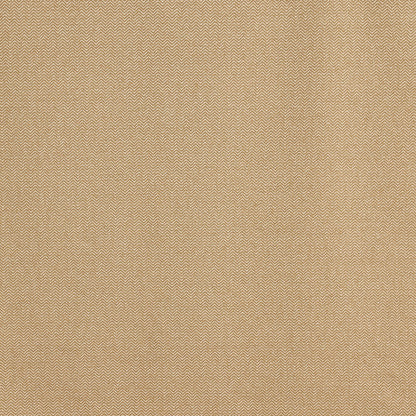 Prestigious Textiles Hackney Honey