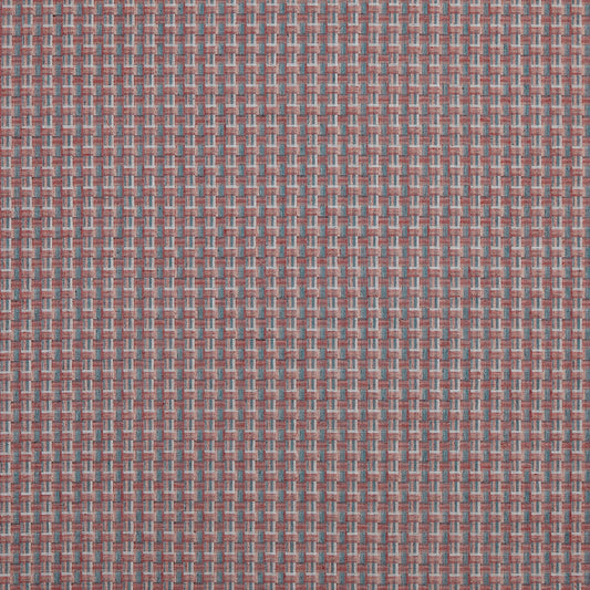 Prestigious Textiles Temika Berry