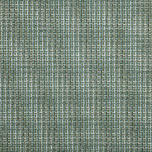 Prestigious Textiles Temika Cactus