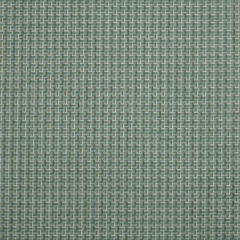 Prestigious Textiles Temika Cactus