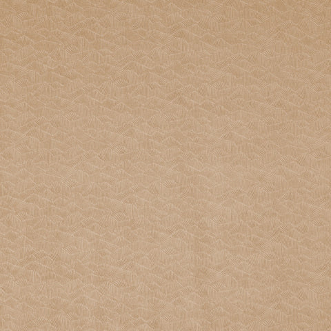 Prestigious Textiles Dara Earth