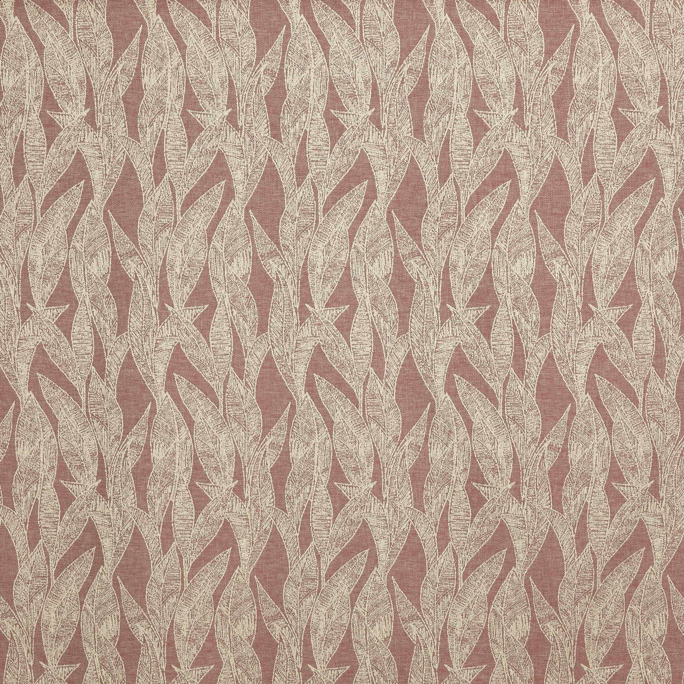 Prestigious Textiles Dali Woodrose