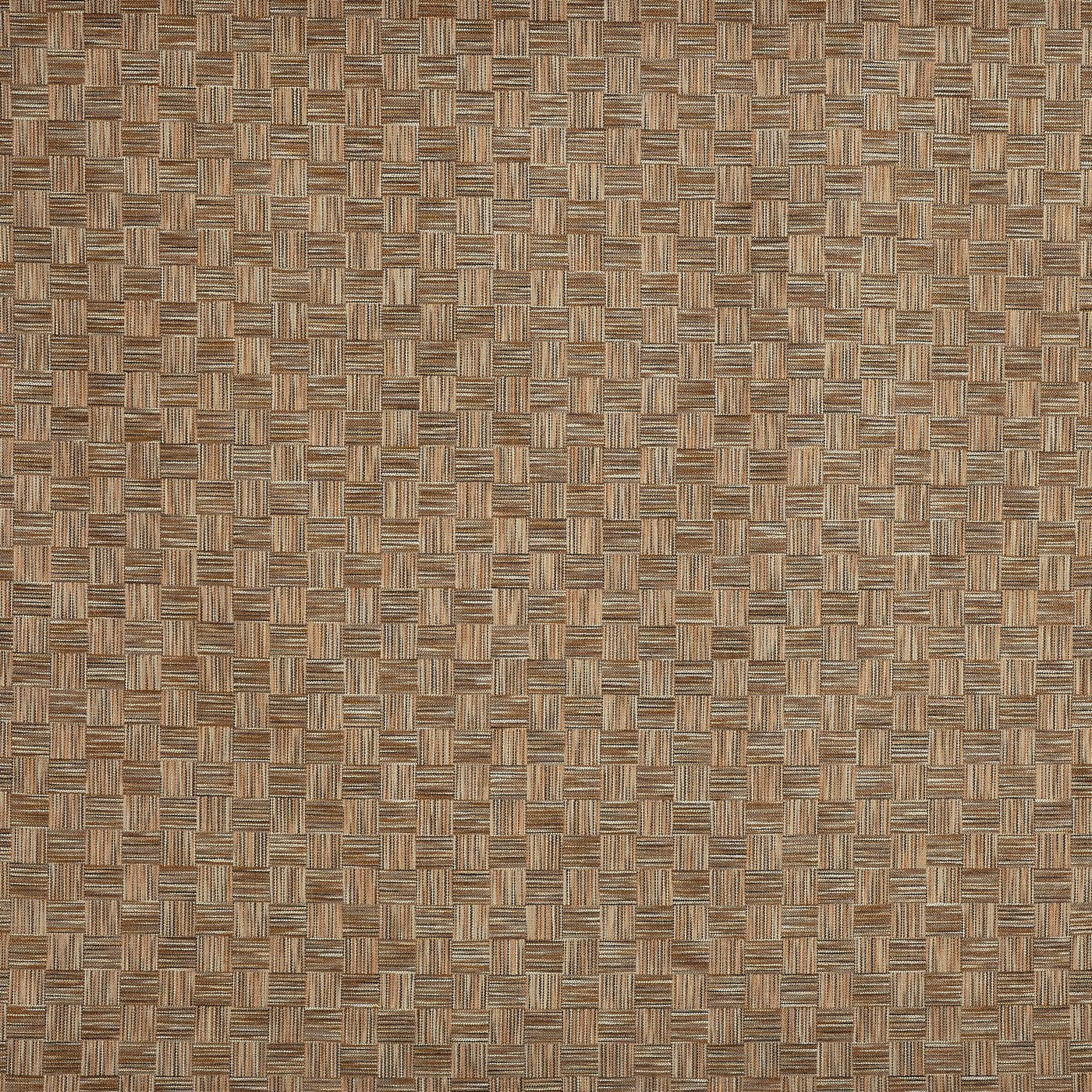 Prestigious Textiles Habitat Desert