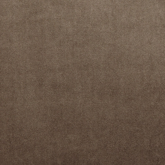 Prestigious Textiles Velour Camel