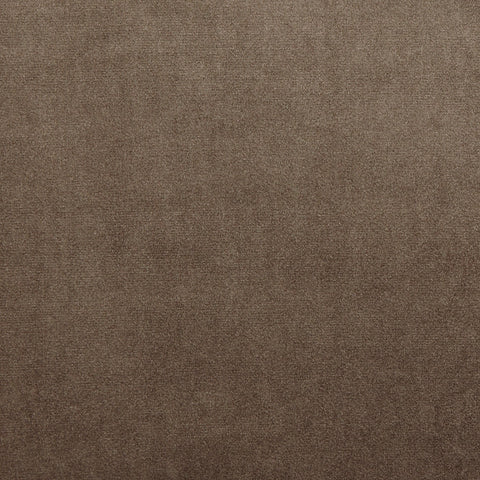 Prestigious Textiles Velour Camel