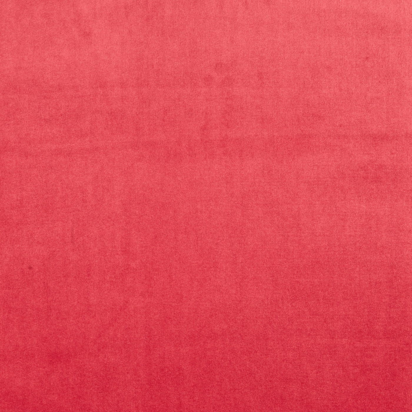 Prestigious Textiles Velour Fuchsia