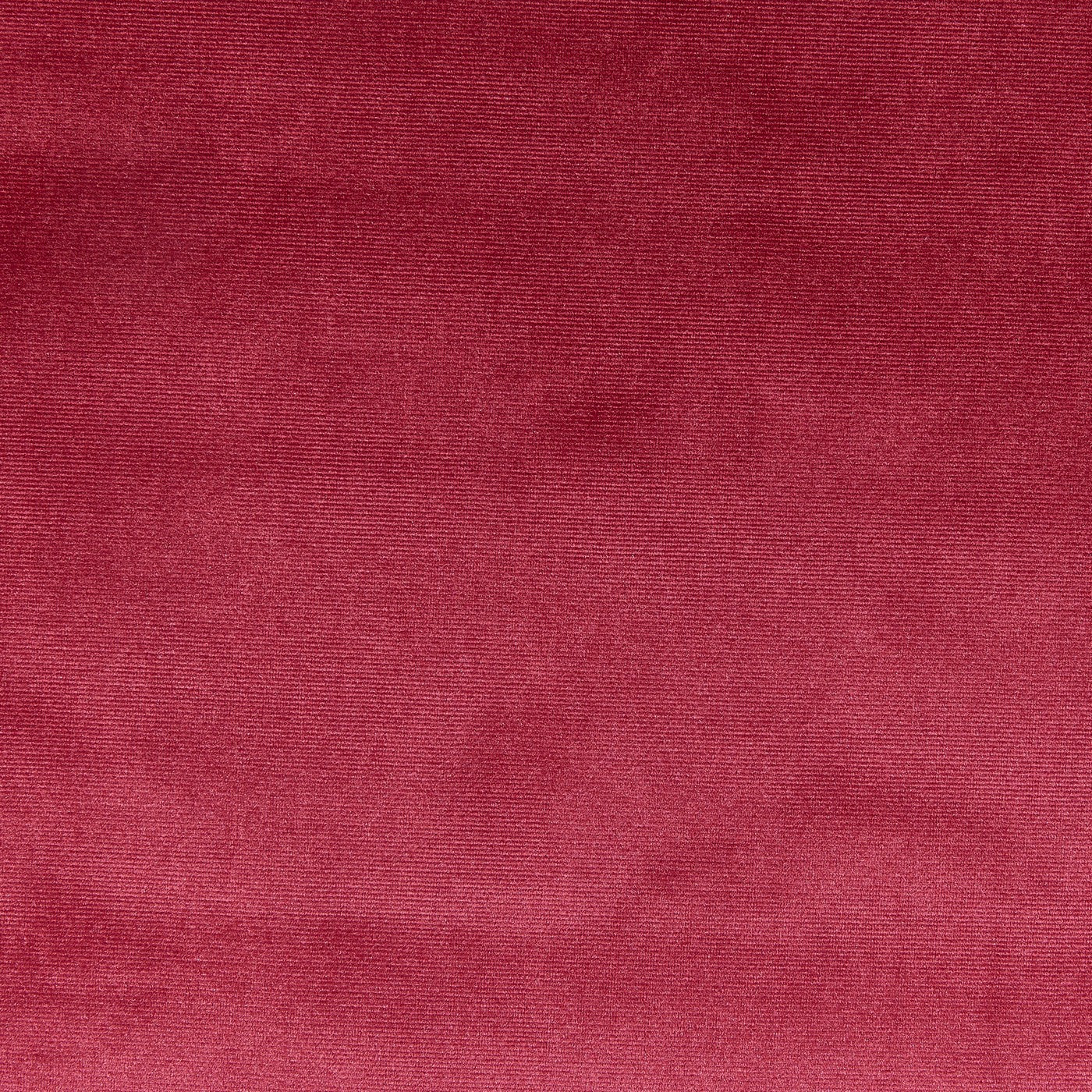 Prestigious Textiles Velour Ruby