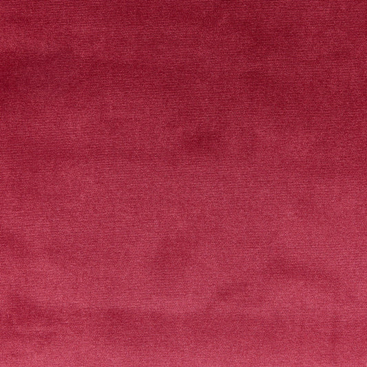 Prestigious Textiles Velour Ruby