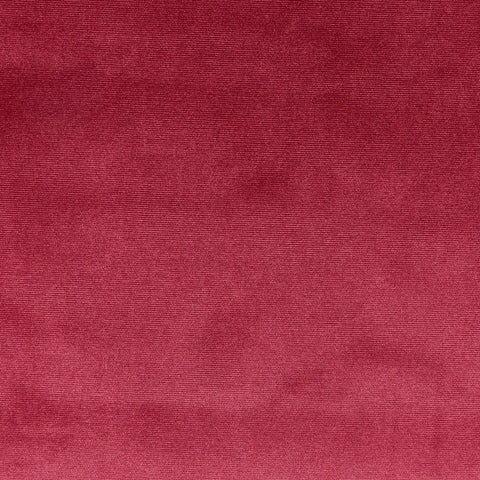 Prestigious Textiles Velour Ruby
