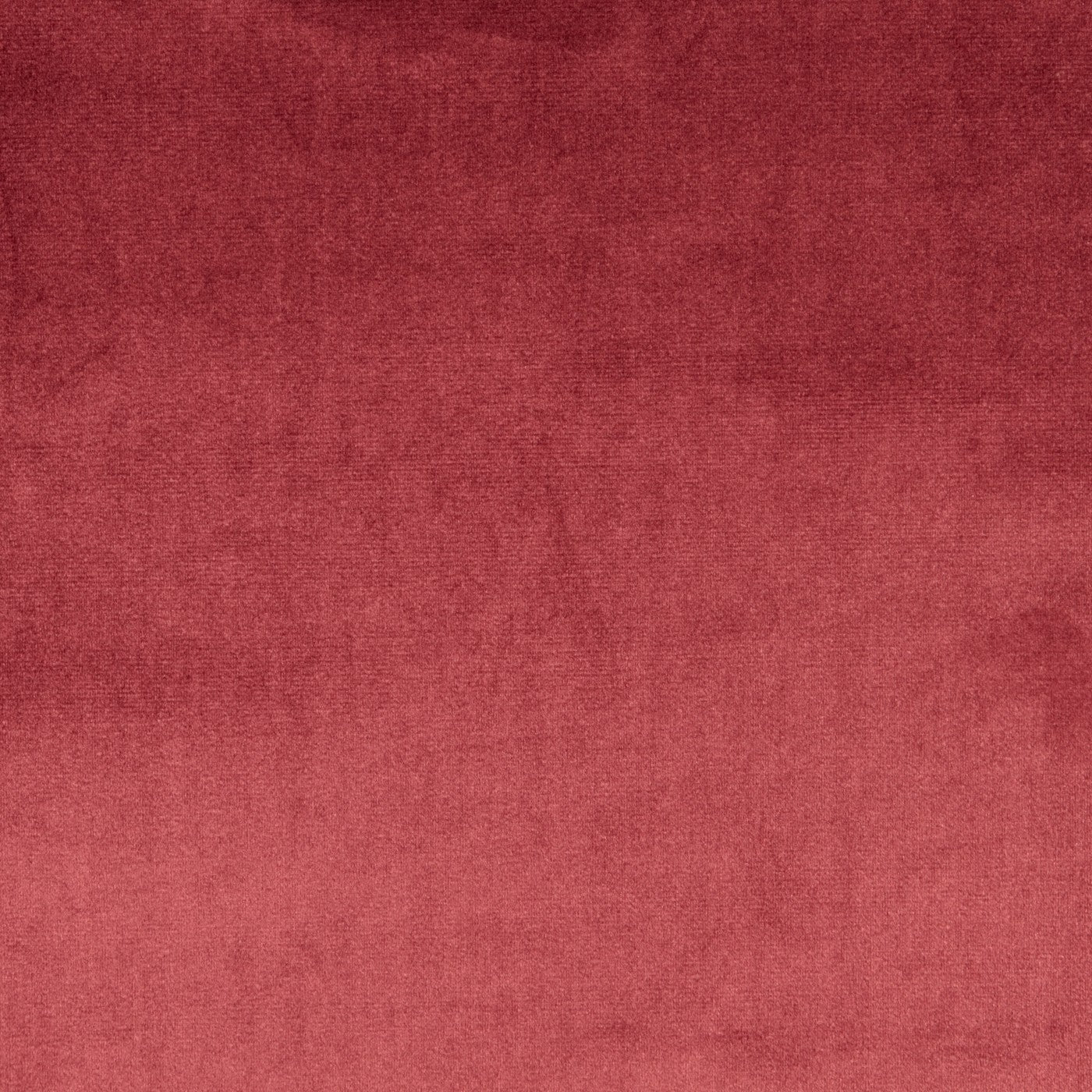 Prestigious Textiles Velour Damson