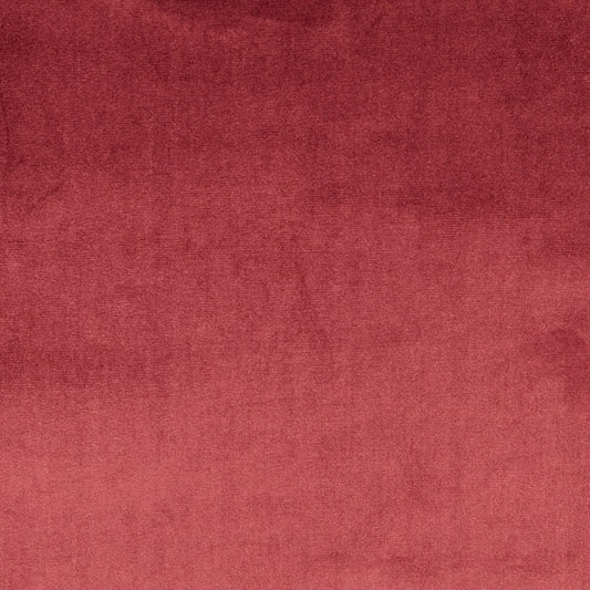 Prestigious Textiles Velour Damson
