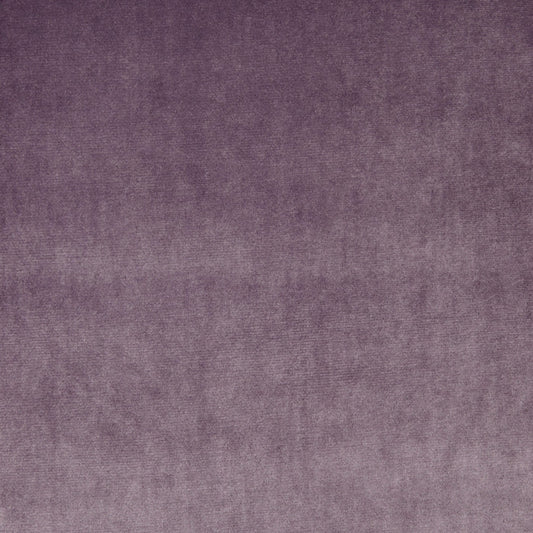 Prestigious Textiles Velour Mulberry