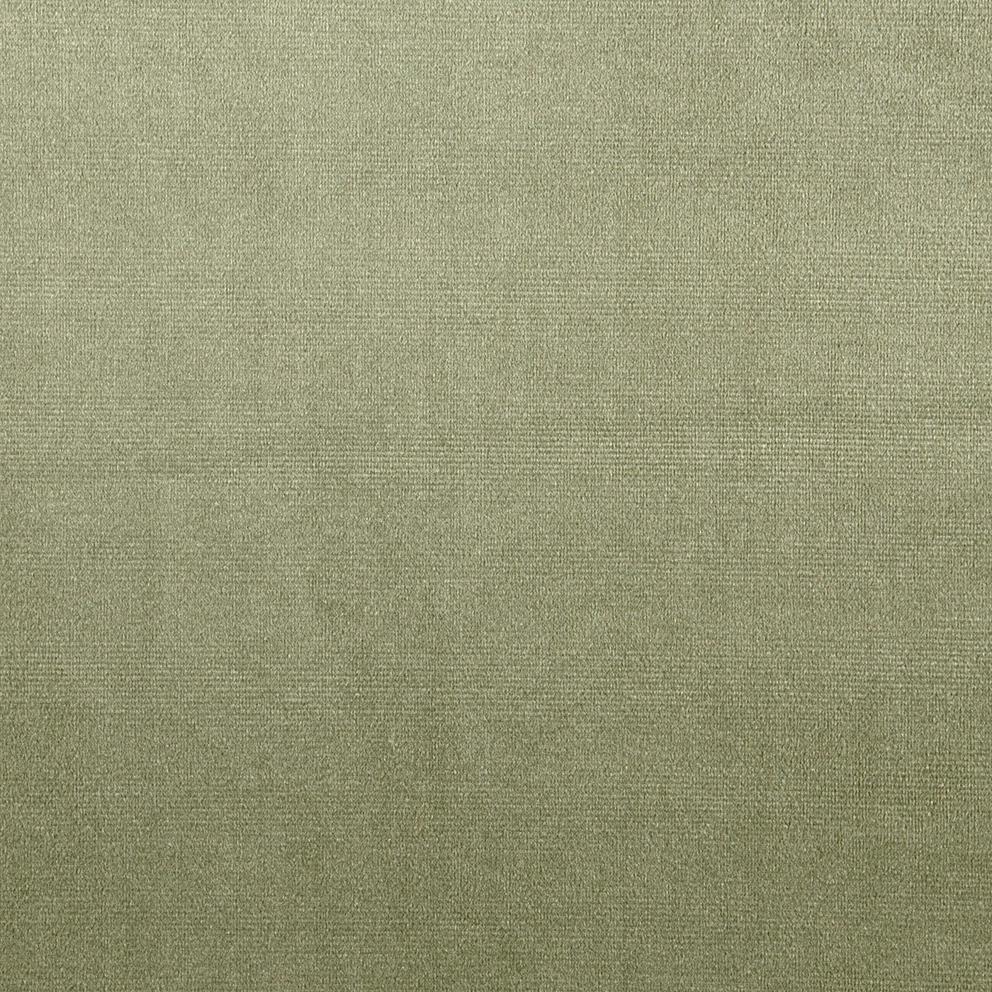 Prestigious Textiles Velour Willow