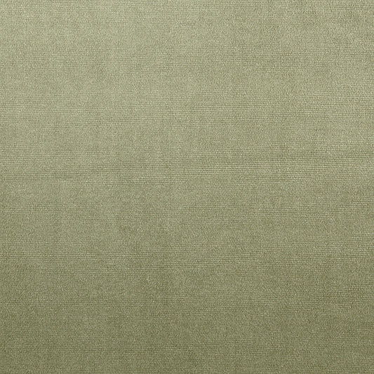 Prestigious Textiles Velour Willow
