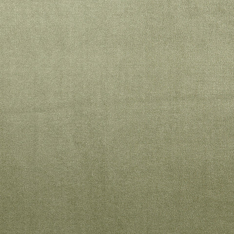 Prestigious Textiles Velour Willow