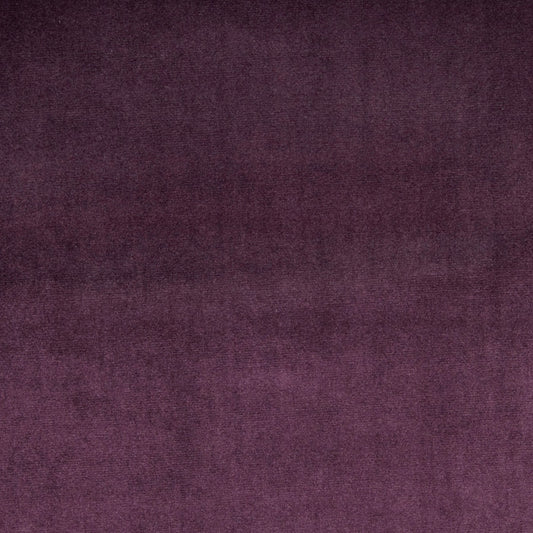 Prestigious Textiles Velour Grape
