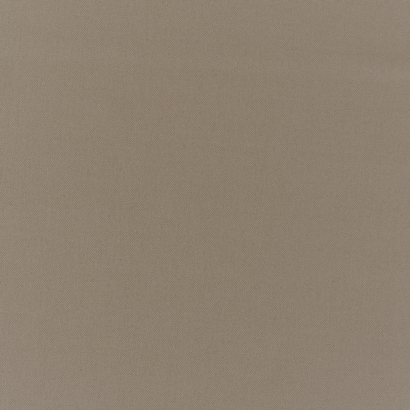 Prestigious Textiles Style Mushroom