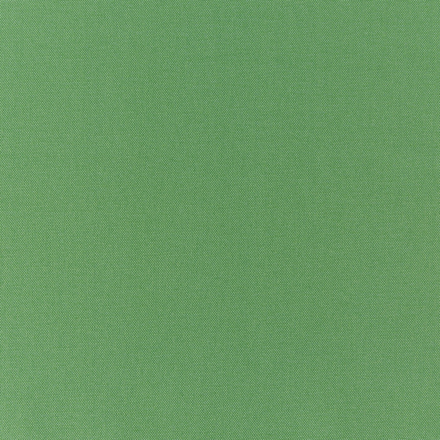 Prestigious Textiles Style Cactus